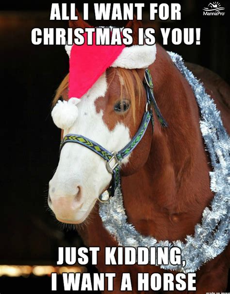 funny christmas horse memes|hobby horse meme.